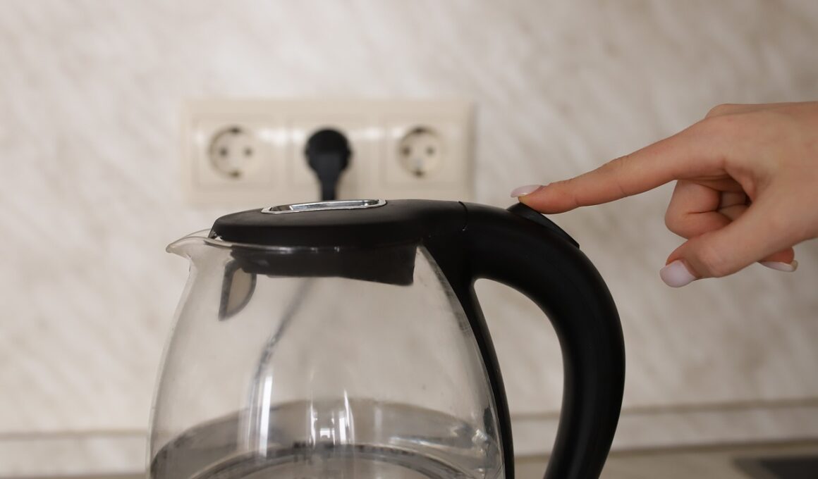 electric kettle, switch, hand