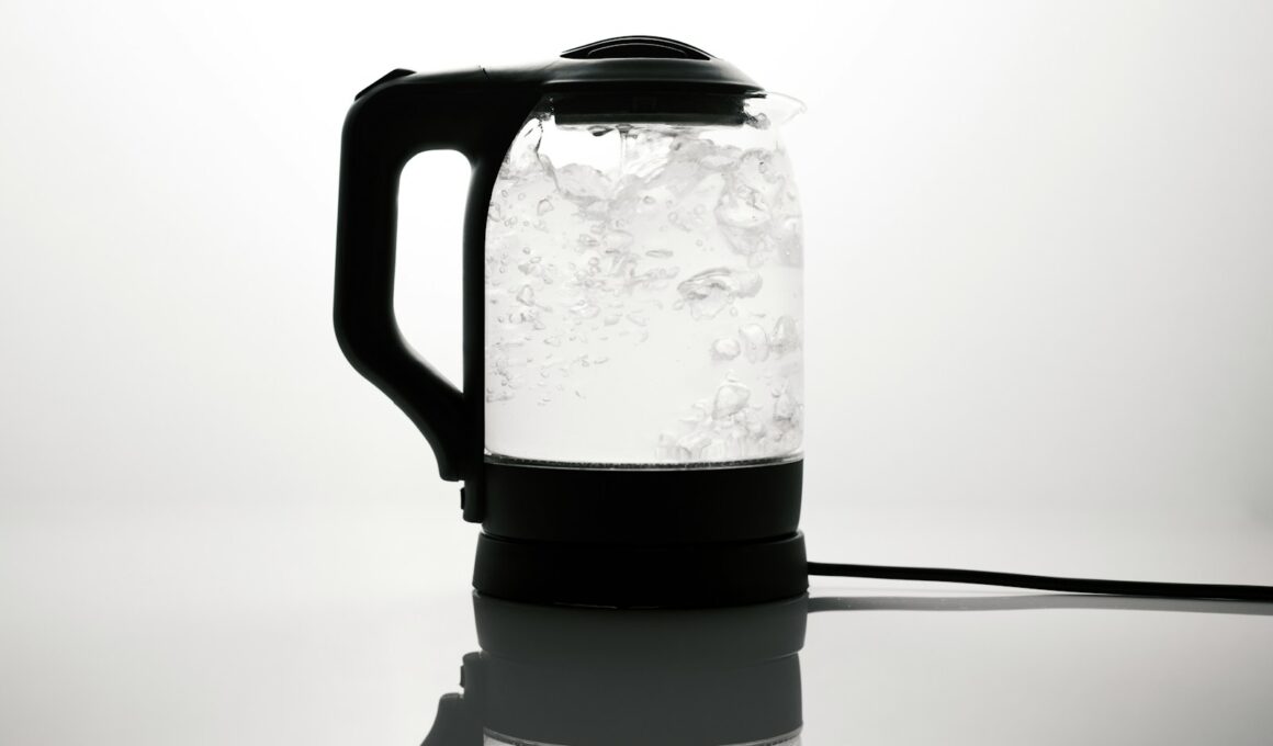 a black and white photo of a water kettle